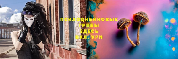 a pvp Абаза